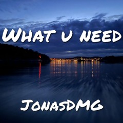 What U Need - JonasDmg