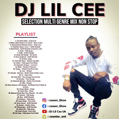 SELECTION MULTI GENRE MIX NONSTOP MIX 2021 DJ LILCEE