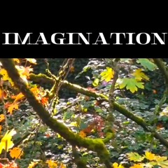 IMAGINATION