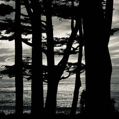 2025-12-01-0650am "When Winter Comes"