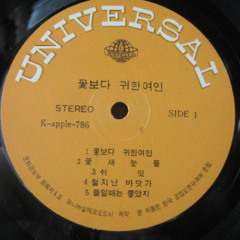 쉬잇shiit