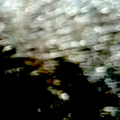 4-7-25 (halcyon)