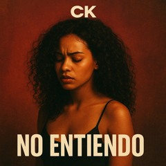 No Entiendo