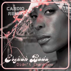 Didn't Cha Know - Erykah Badu (House Remix)