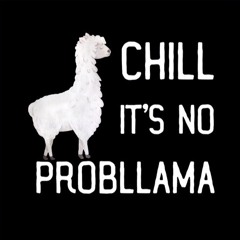 Rainbow Llama Radio #24 – Minichillism