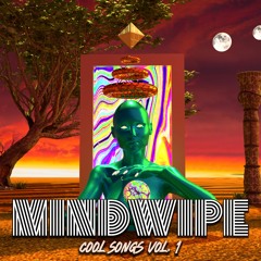 Mindwipe - Cool Songs Vol 1