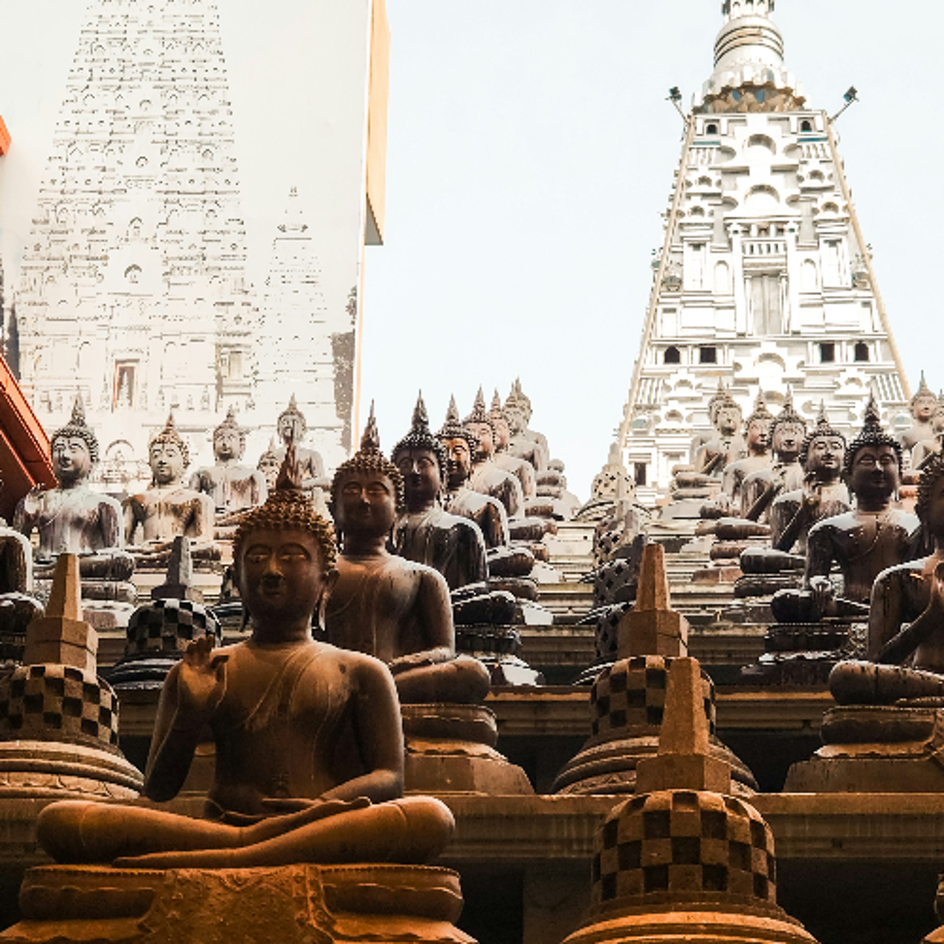 Associazione Kalyanamitta: Meditazione, Mindfulness, Buddhismo