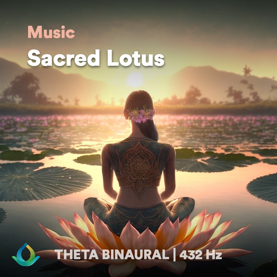 MUSIC FOR YOUR MIND RELAXATION MUSIC セット Music For Your Mind Relaxation Music | Discogs
