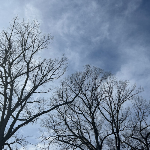 fears (prod. crystal ash)