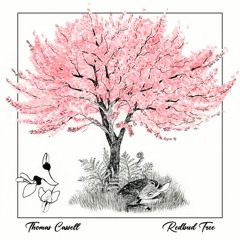 Thomas Cassell - "Redbud Tree"