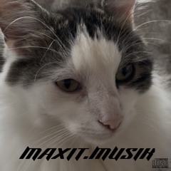 MAXIT.MUSIK 2