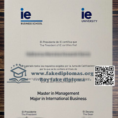 How long to buy IE University fake degree?