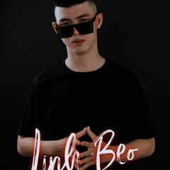Điểm Nhấn - DJ Linh Beo Mix