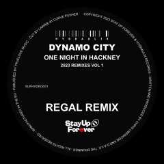 B1 Dynamo City - One Night In Hackney (Regal Remix)  - Preview