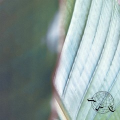 The Art Of Birds-EP (TPQ001) by Aron, DJ Real Madrid & Aline