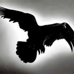 rabenvater district red remix bass boosted