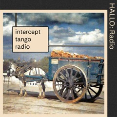 "INTERCEPT TANGO RADIO" 02 - The Hairy Cowboy & Robert Etzold - 08/08