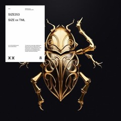 HIISAK Feat. Mathieu Ruz - Subiendo (Brawo Remix)