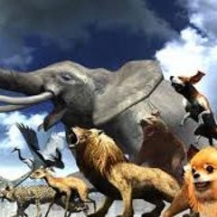 Tokyo Jungle [Prod. Caveman & DayAsFuck]