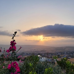 Shavora Israel 4/ 2023.mp3