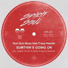 Guri Guri Boys feat. Tracy Hamlin- Sumthin's Going On(Peppe Citarella Afrosoul Remix)[snippet]