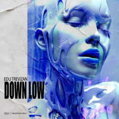 Edu Trevizan - Down Low (Original Mix) Freedom Rec