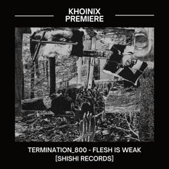 Premiere: Termination_800 - Flesh Is Weak [Shishi Records]