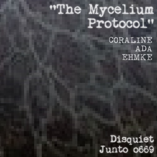 The Mycelium Protocol (disquiet0669)