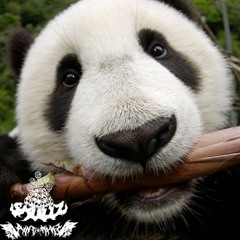 P4NDAMXNE X $KULLz - PANDA