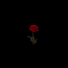 fetti x LVnoLoGo”REd WraiTh”