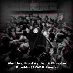 Skrillex, Fred again.. & Flowdan - Rumble (SKADII Remix)