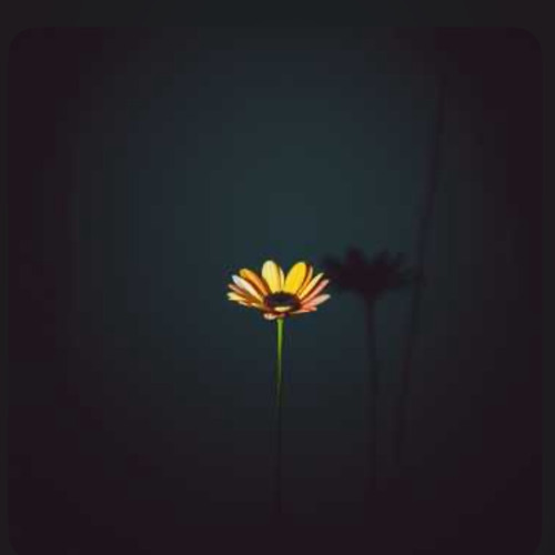 Discovered Thoughts