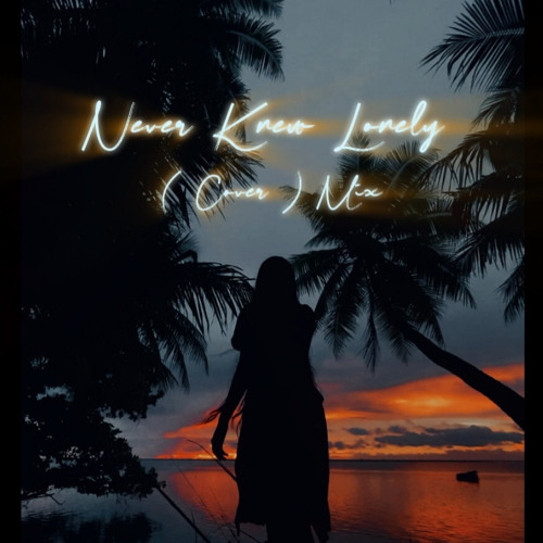 Never Knew Lonely - Napu ( Mix )