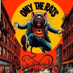Basement rat !