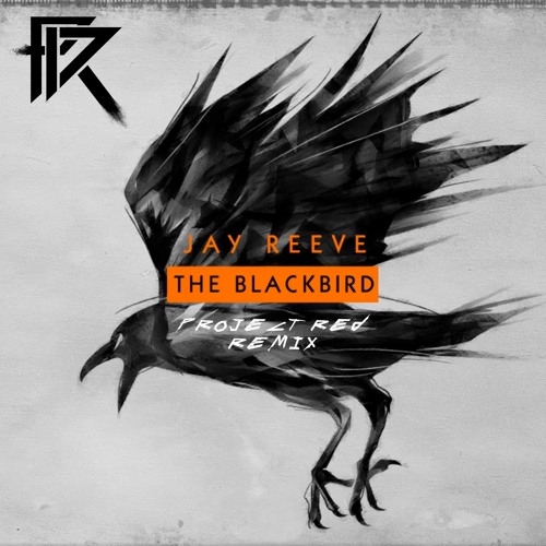 Jay Reeve - The Blackbird (Project Red Remix)