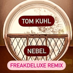 Nebel (FreakDeLuxe Remix)