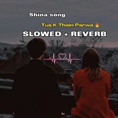 Tus k Thain Parwa GB Lofi songs SLOWED REVERB