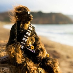 HIGH ON THE BEACH  [We Should be...]