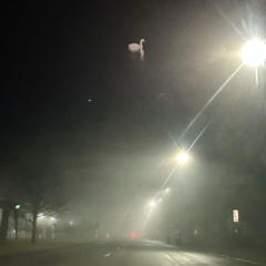 left it in the dark [prod. flesh]