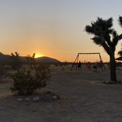 Sunrise Noodle Tech - Recorded LIVE at Nood Ranch 2024