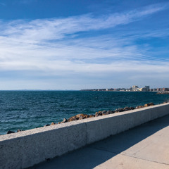 Professional Seawall Installation in Fort Myers