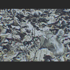 TM23-homesick