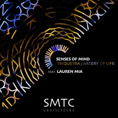 PREMIERE: Senses Of Mind - Triquetra (Original Mix) [SMTC Underground]
