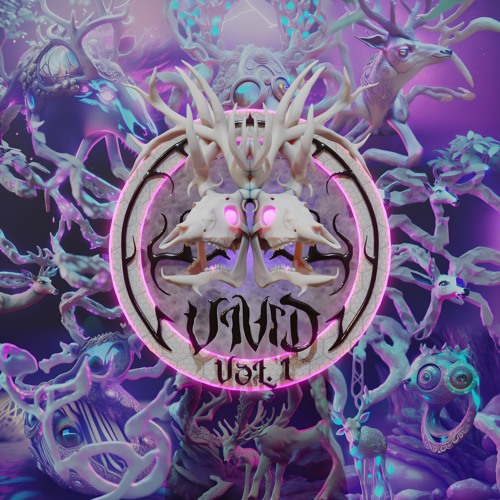 PREMIERE /// Iamhollow - Bubble Kvas [VVA01 - Vivid]
