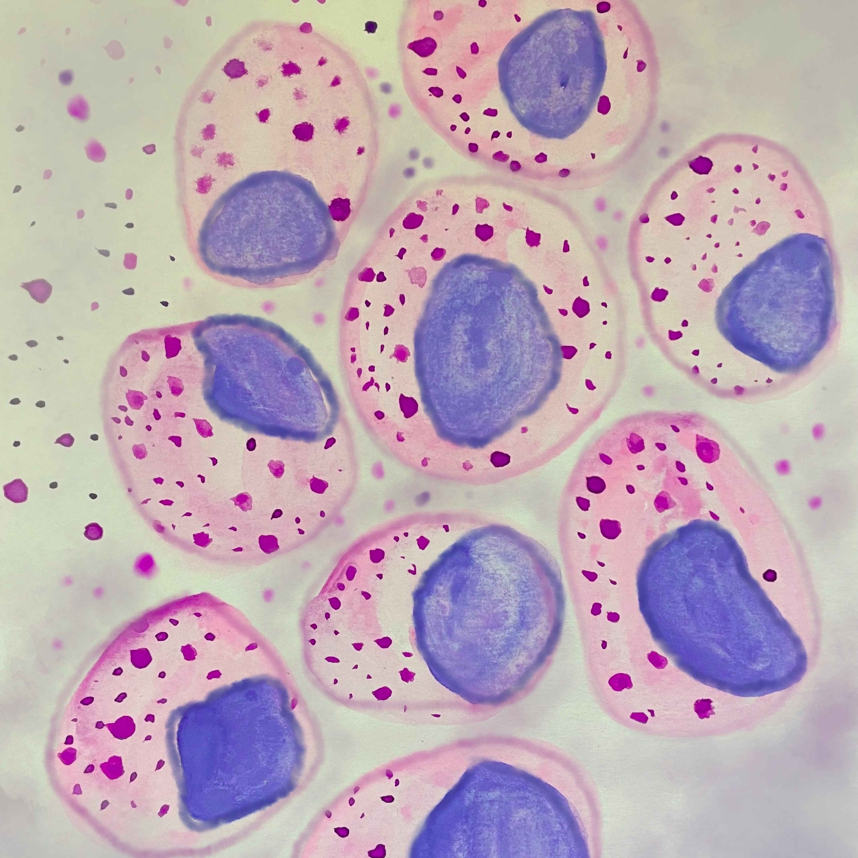 RadioBio