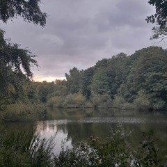calm songs