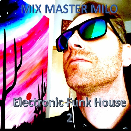 Electronic Funk House 2
