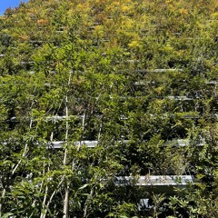 jam002 まずやってみよう