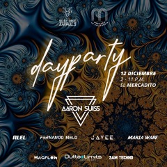Aaron Suiss @ Dayparty by Electric Animals - 12/21