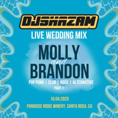 Molly & Brandon Live Wedding Mix Part 1 - 10.04.2025 | Pop Punk, Club, Rock, Alternative